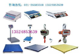 如何選擇專業(yè)的電子秤供應商 品質(zhì)、優(yōu)惠與技術服務的均衡之道