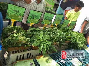 三亞市扶貧農(nóng)產(chǎn)品展銷會(huì) 農(nóng)副產(chǎn)品引圍觀，創(chuàng)意無(wú)限人潮涌動(dòng)