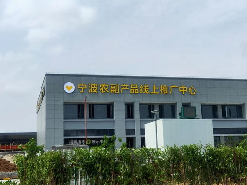 寧波農副產品物流中心一期試運營開啟 農產品流通新樞紐，便捷交通指南助您暢行